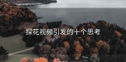 探花视频引发的十个思考