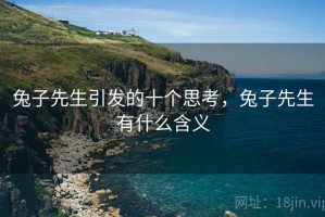 兔子先生引发的十个思考，兔子先生有什么含义