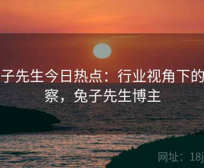 兔子先生今日热点：行业视角下的观察，兔子先生博主