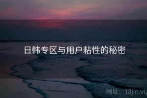 日韩专区与用户粘性的秘密