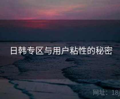 日韩专区与用户粘性的秘密