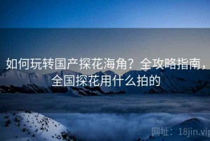 如何玩转国产探花海角？全攻略指南，全国探花用什么拍的
