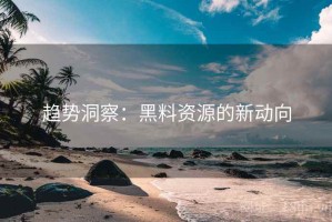 趋势洞察：黑料资源的新动向