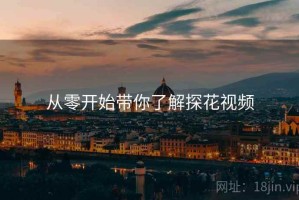 从零开始带你了解探花视频