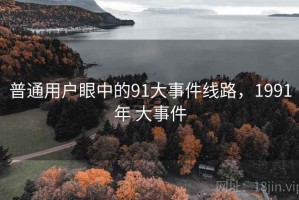 普通用户眼中的91大事件线路，1991年 大事件