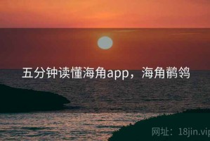 五分钟读懂海角app，海角鹡鸰