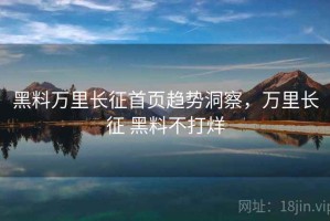 黑料万里长征首页趋势洞察，万里长征 黑料不打烊