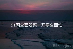 91网全面观察，观察全面性