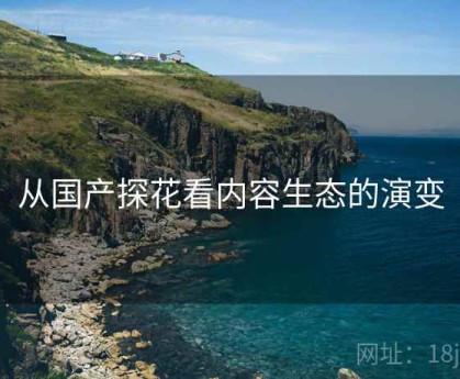从国产探花看内容生态的演变