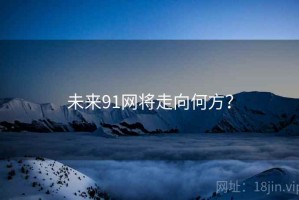 未来91网将走向何方？