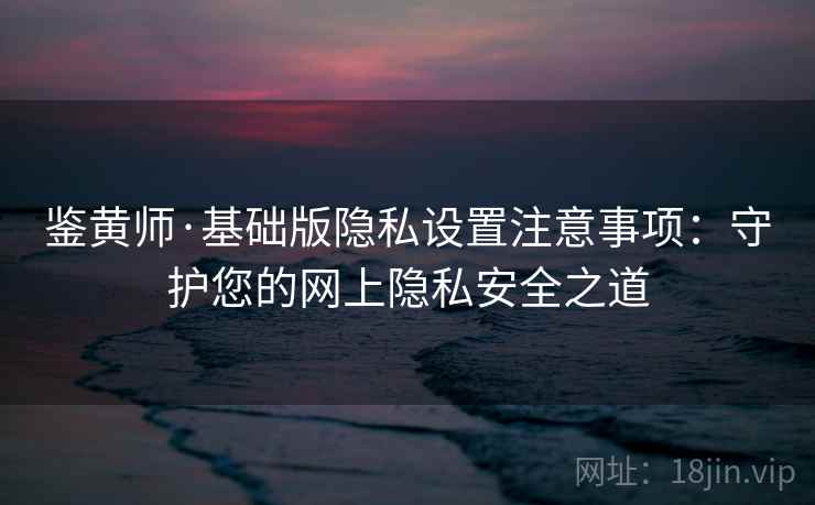 鉴黄师·基础版隐私设置注意事项：守护您的网上隐私安全之道