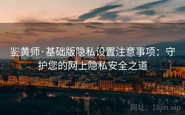 鉴黄师·基础版隐私设置注意事项：守护您的网上隐私安全之道