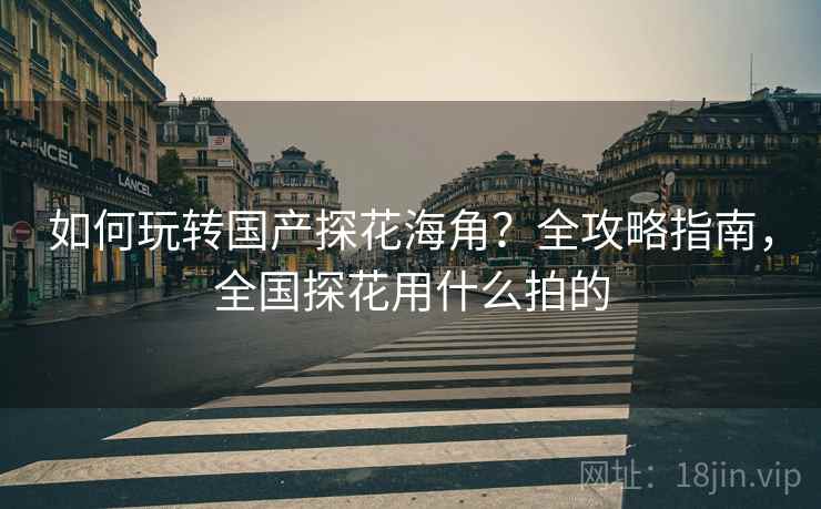 如何玩转国产探花海角？全攻略指南，全国探花用什么拍的
