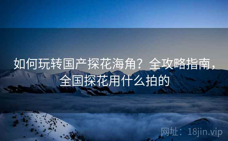 如何玩转国产探花海角？全攻略指南，全国探花用什么拍的