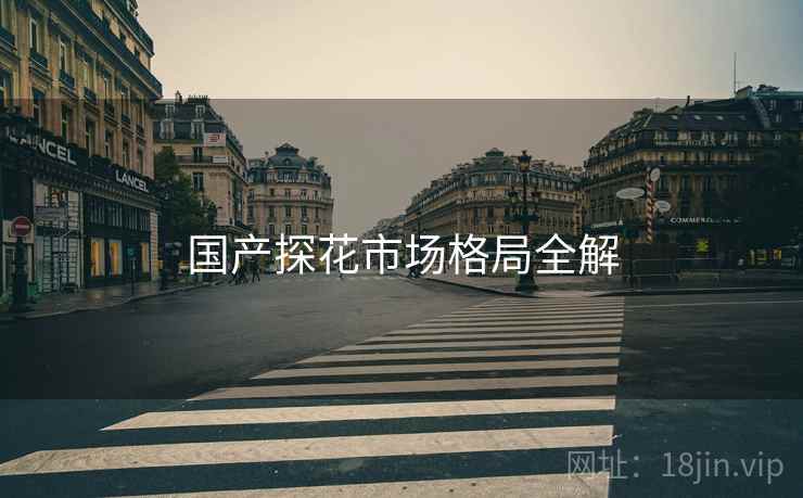 国产探花市场格局全解