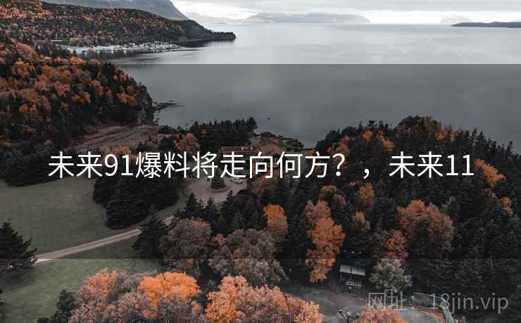未来91爆料将走向何方？，未来11