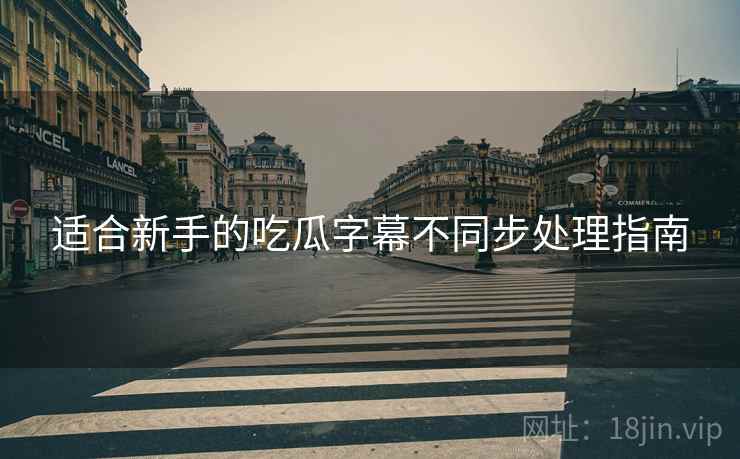 适合新手的吃瓜字幕不同步处理指南