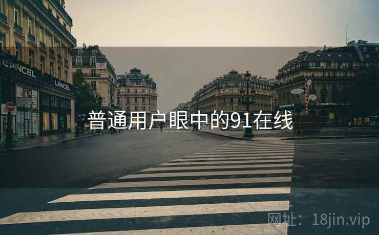 普通用户眼中的91在线