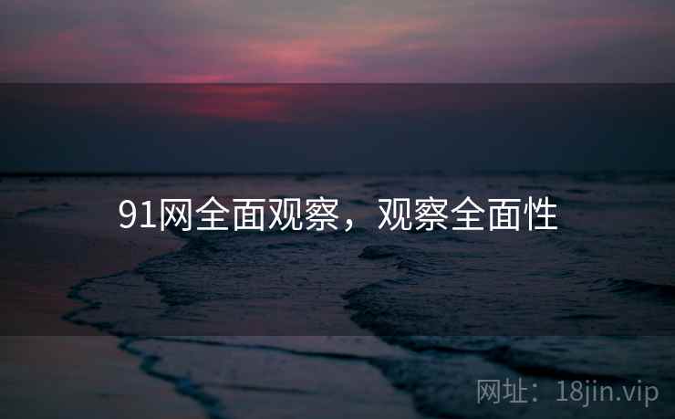 91网全面观察，观察全面性