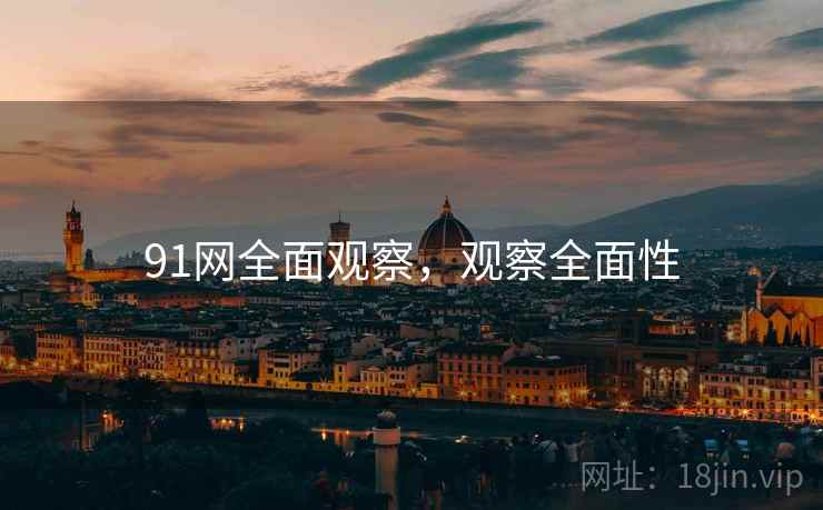 91网全面观察，观察全面性