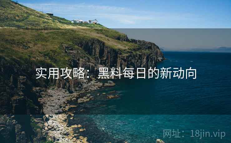 实用攻略：黑料每日的新动向