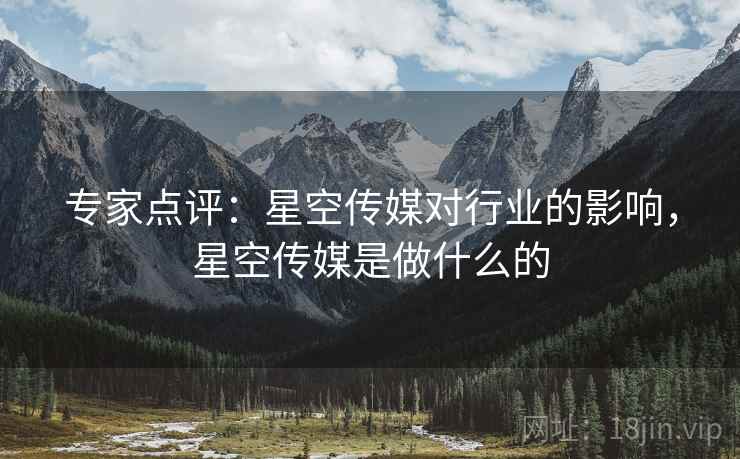 专家点评：星空传媒对行业的影响，星空传媒是做什么的